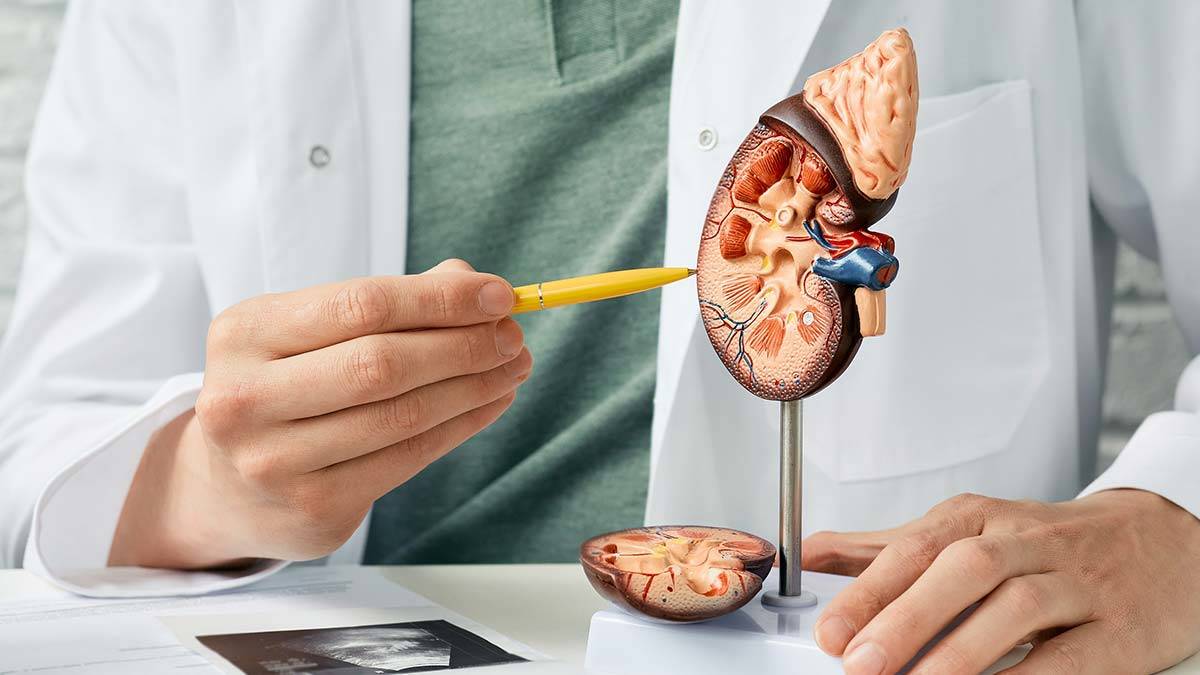 Böbrek yetmezliğine giden süreç gençlerde sinsi ilerliyor