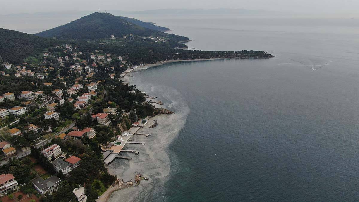 Büyükada'yı deniz salyası da olarak bilinen müsilaj sardı. Deniz canlıları için büyük tehlike oluşturan deniz salyası, adalıları endişelendirdi.