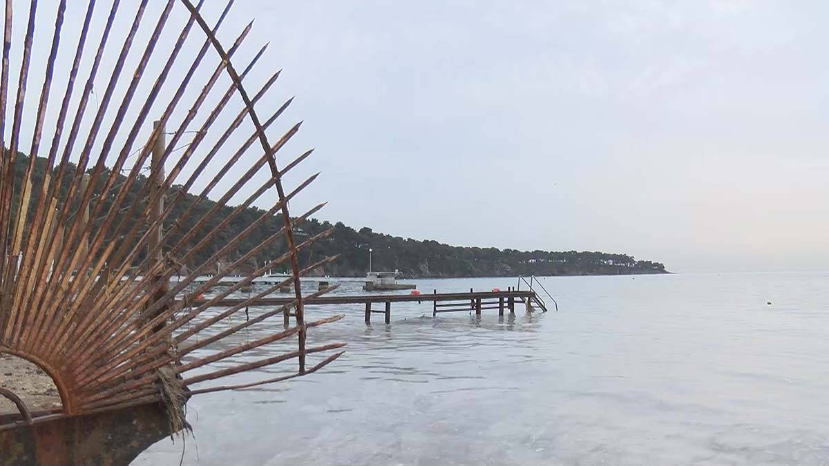 Büyükada'yı müsilaj sardı