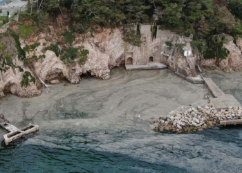 Büyükada'yı müsilaj sardı