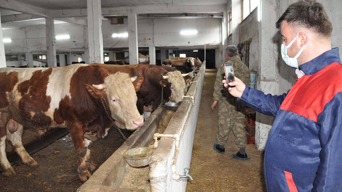 Hayvan Bakım Oteli besicilere destek oluyor