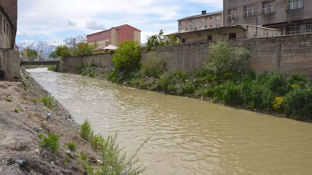 Hakkari’nin yüksekova ilçesindeki büyükçay deresi, ıslah edilip, temizlendikten sonra balıkların çoğaldığı alana dönüştü. Yüksekova belediyesi veterineri hekim kaçan, üremek için akıntının tersine yüzen tatlı su kefallerinin avlanmaması gerektiğini söyledi.