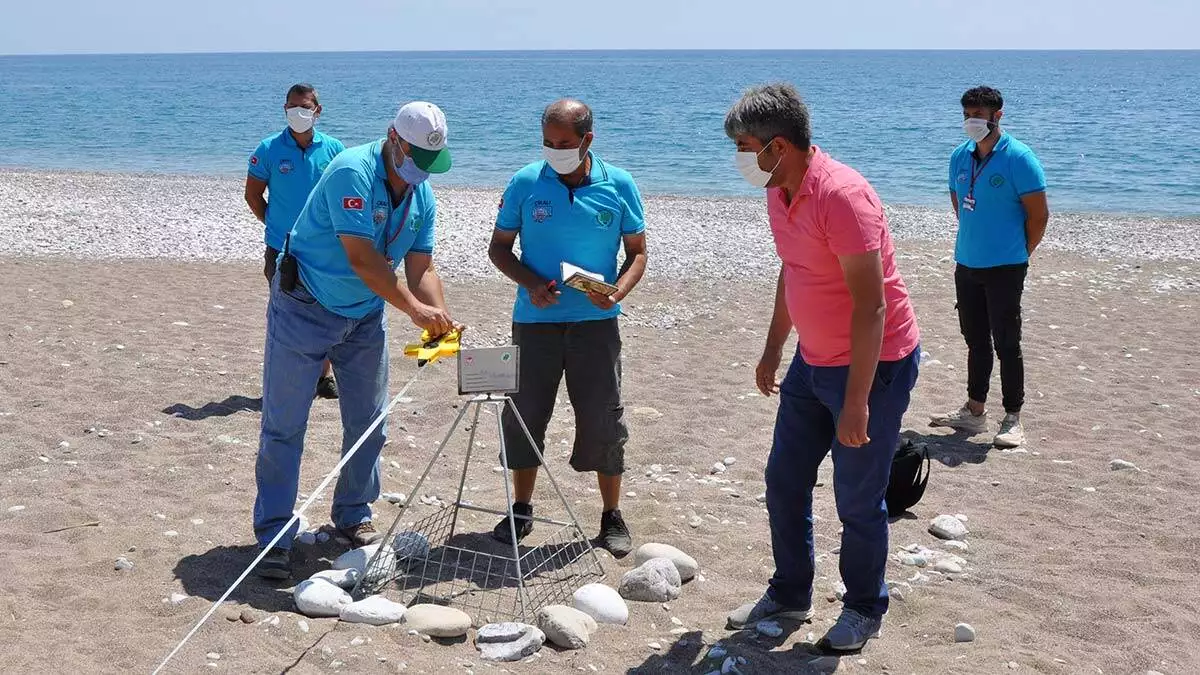 Antalya'nın kemer ilçesinin çıralı sahilinde ilk caretta caretta yuvası tespit edilmesi ile birlikte caretta caretta sezonu başlamış oldu.