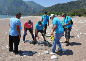 Çıralı'da caretta caretta sezonu başladı