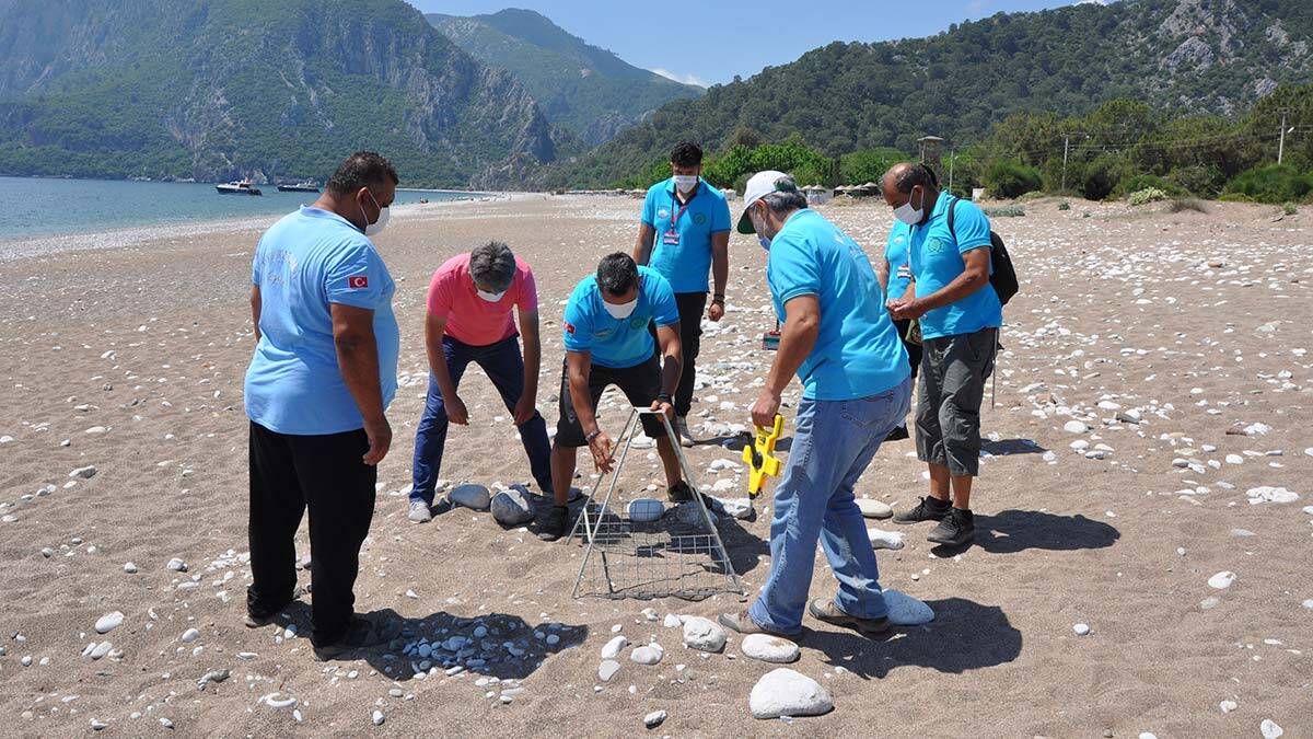 Çıralı'da caretta caretta sezonu başladı