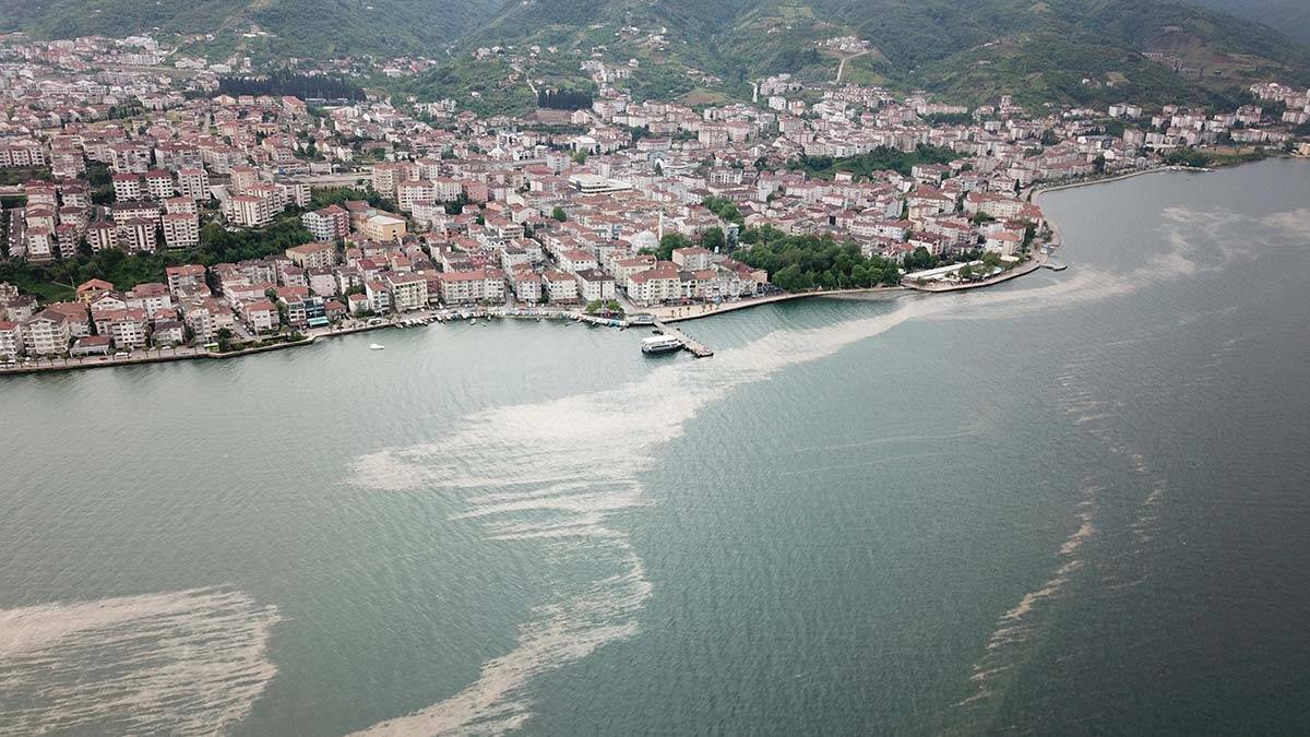 Ekiplerin deniz süpürgeleri ve amfibi araçlarla yaptığı çalışmalar devam ediyor.