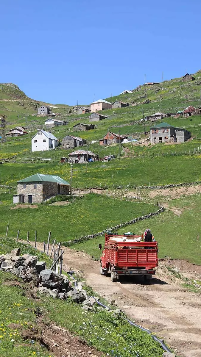 Gümüşhane'de yayla göçleri vakaları artırdı