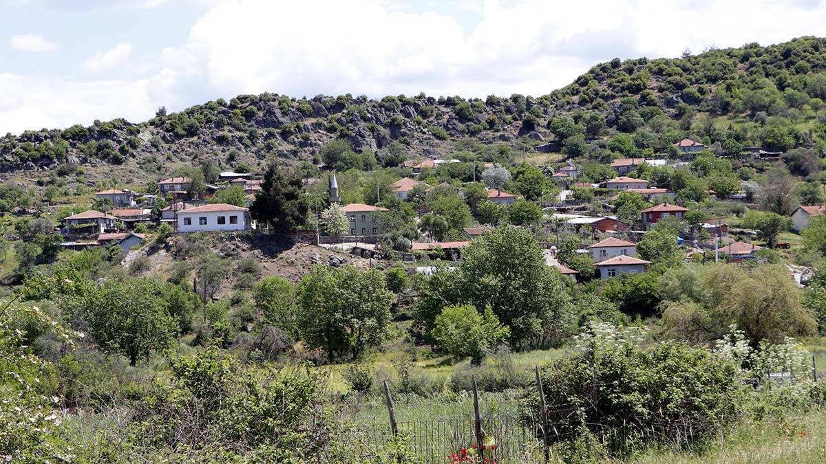 Çanakkale'nin 33 köyünde hiç vaka yaşanmadı