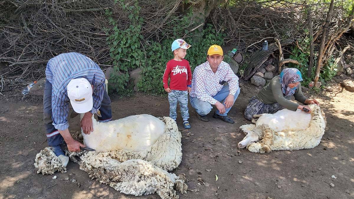 Çanakkale'nin 33 köyünde hiç vaka yaşanmadı