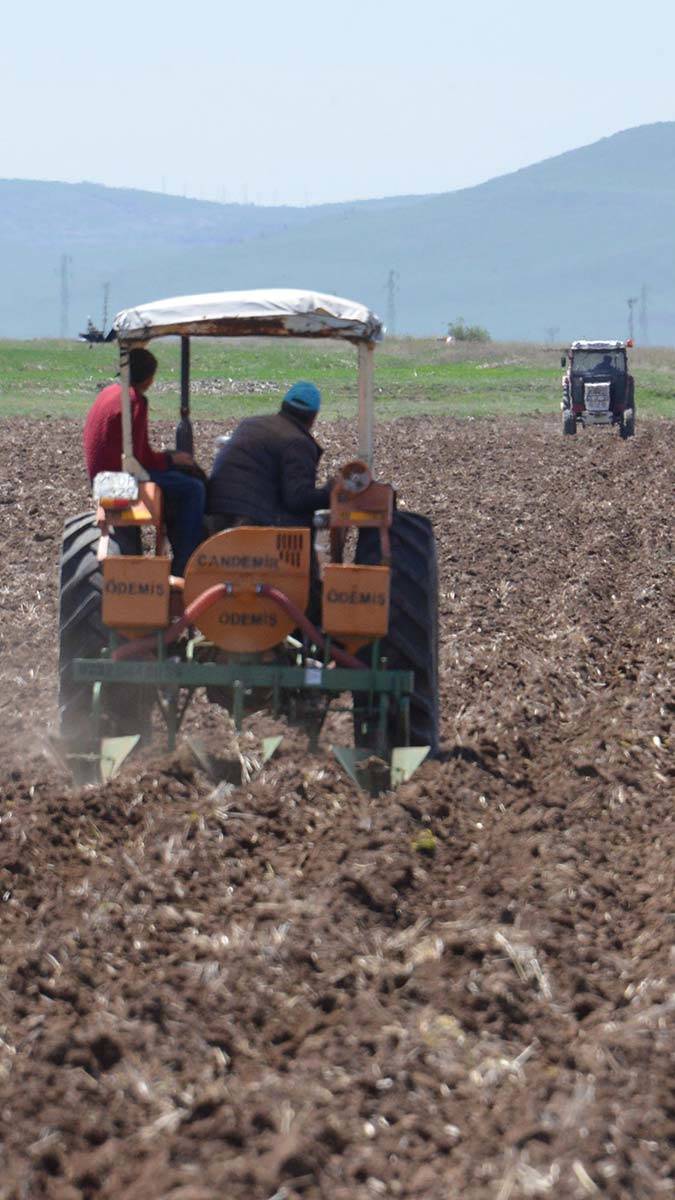 Tarım sektöründe kuraklık tehlikesi