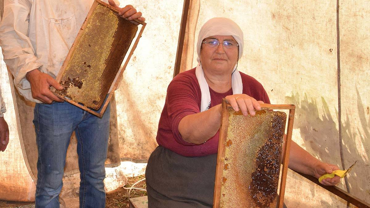 Gezgin arıcılardan geçiş üstünlüğü talebi