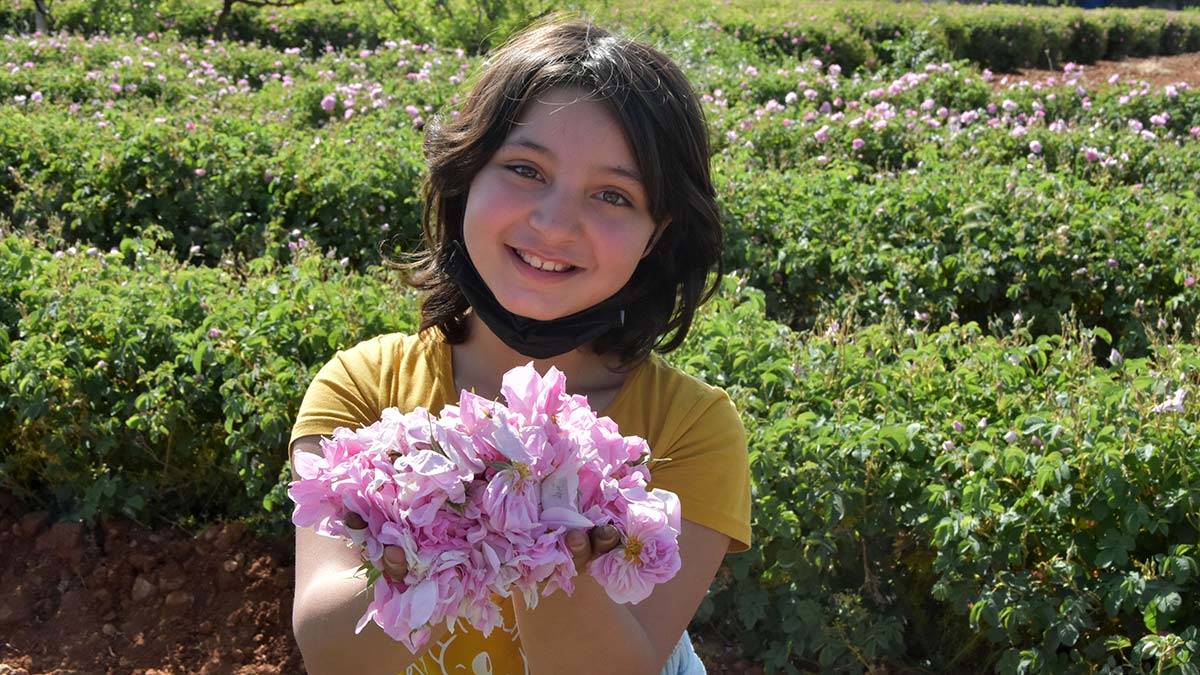 Gül hasadı buruk geçiyor