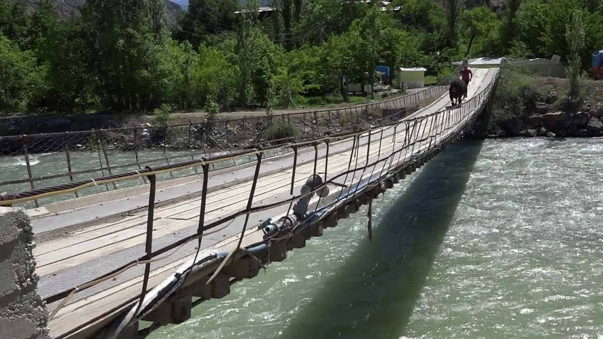 Boğasını güreşlere hazırlıyor