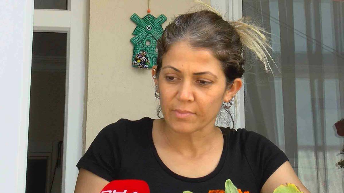 Kronomid sinekler yine ortaya çıktı