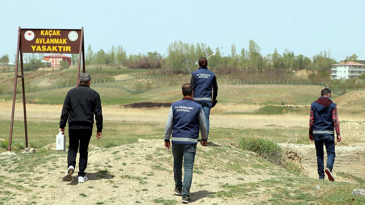 Van Gölü Havzası'nda yaklaşık 15 bin kişinin ekmek kapısı olan inci kefali göç yolculuğuna hazırlanıyor.