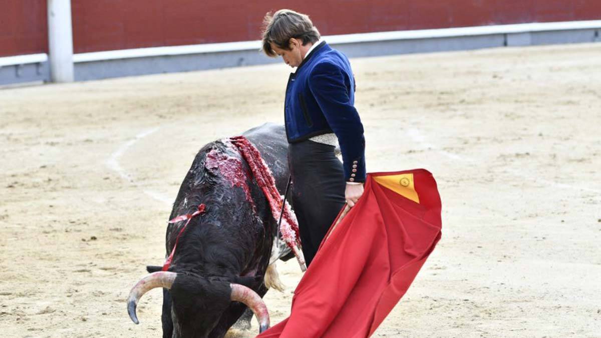 İspanya'da boğa güreşleri yeniden başladı