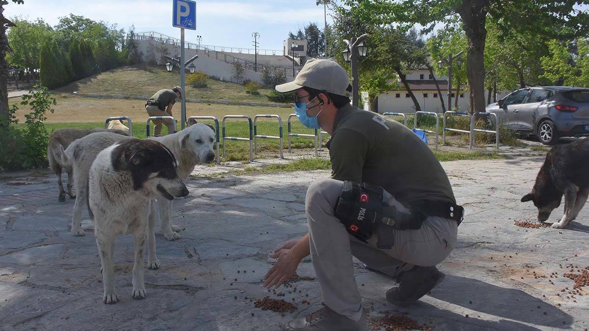 HAYDİ ekibi can dostların yanında