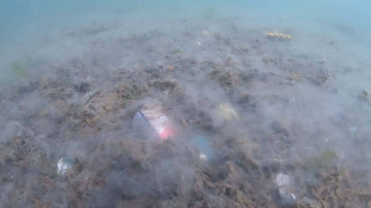 Kadıköy Sahili'nde deniz dibini saran deniz salyası dalgıç İsa Şahintürk tarafından su altı kamerasıyla görüntülendi.