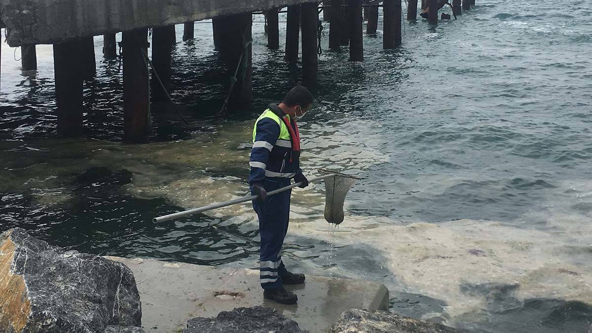 Kartal sahilleri deniz salyasından temizleniyor