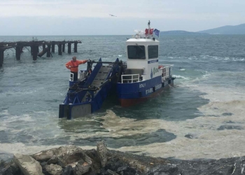 Kartal sahilleri deniz salyasından temizleniyor