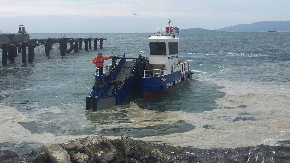 Kartal sahilleri deniz salyasından temizleniyor