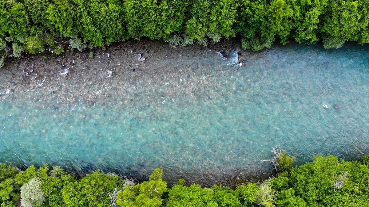 Kesin korunacak hassas alan Munzur Vadisi için rapor tamam