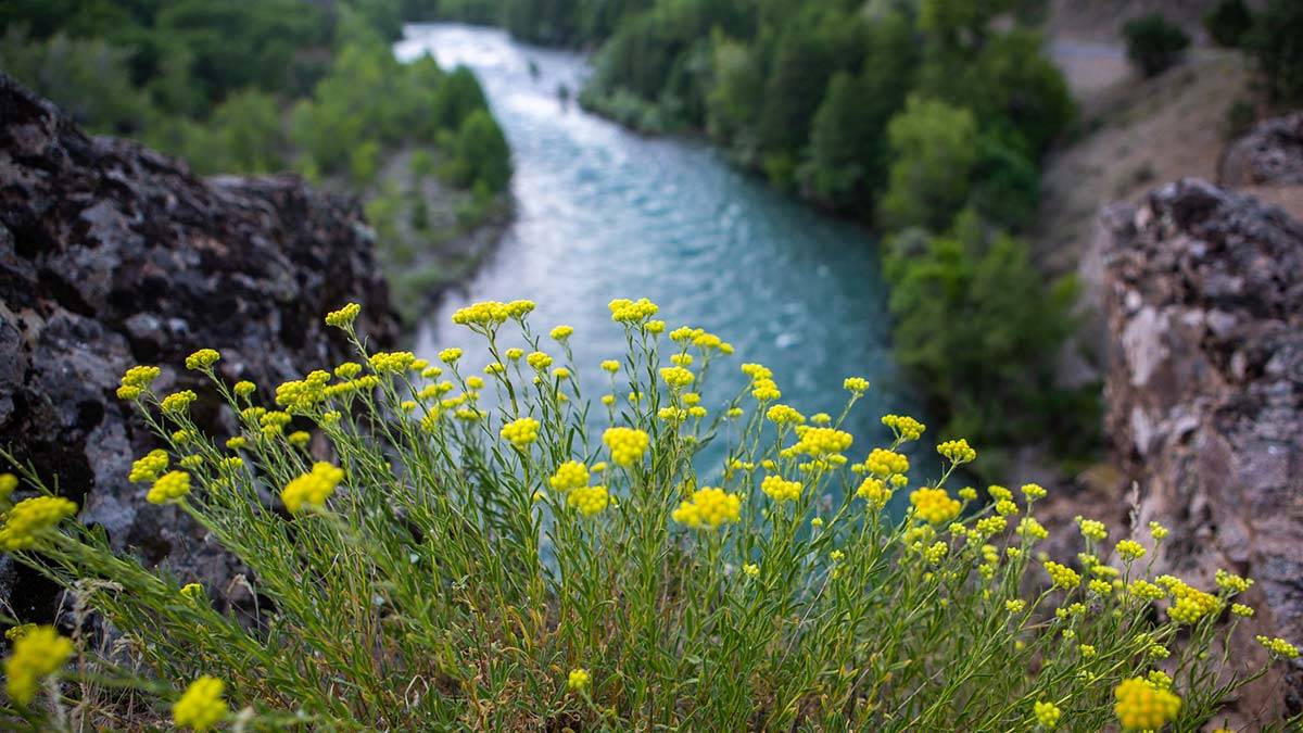 Kesin korunacak hassas alan Munzur Vadisi için rapor tamam