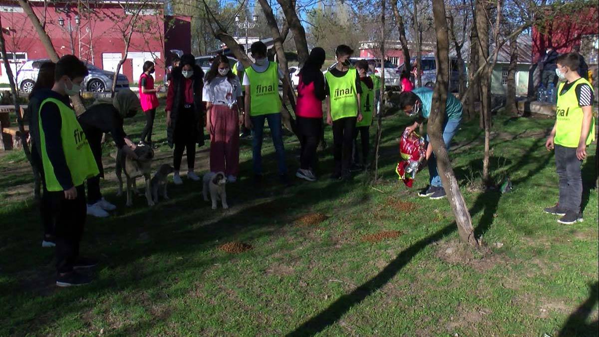 Kısıtlamada sokak hayvanları unutulmadı