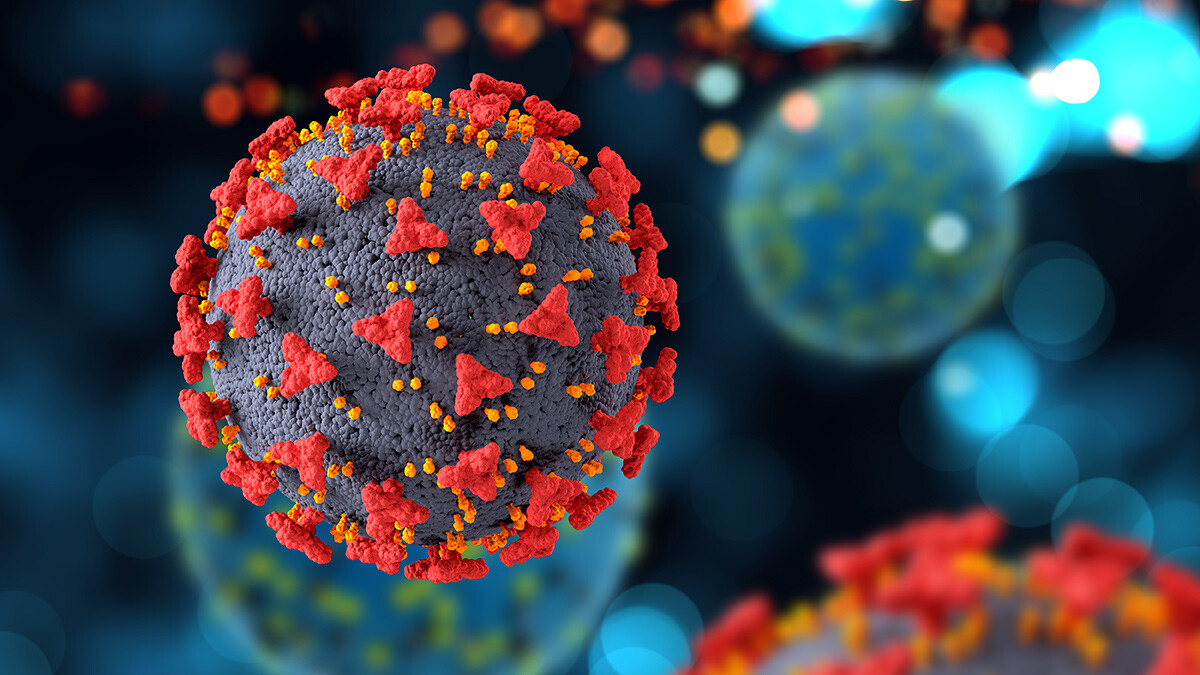 Can kaybı 44 bin 537'e yükseldi