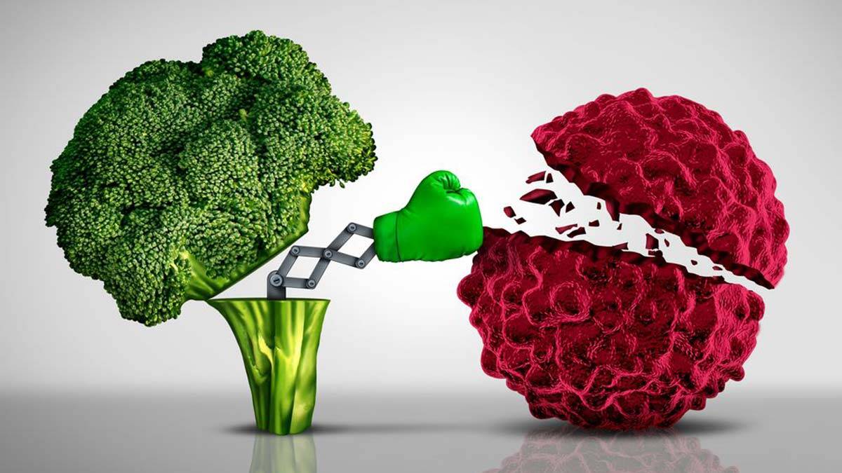 Kronik lösemiler yavaş çoğalan lösemilerdir