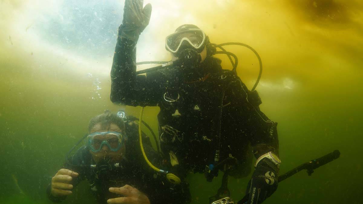 Marmara Denizi'ndeki salya, belgesel yapımcısı ve su altı görüntüleme yönetmeni Tahsin Ceylan tarafından su altında görüntülendi.