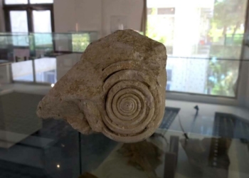 60 milyon yıl öncesine ait salyangoz fosili bulundu