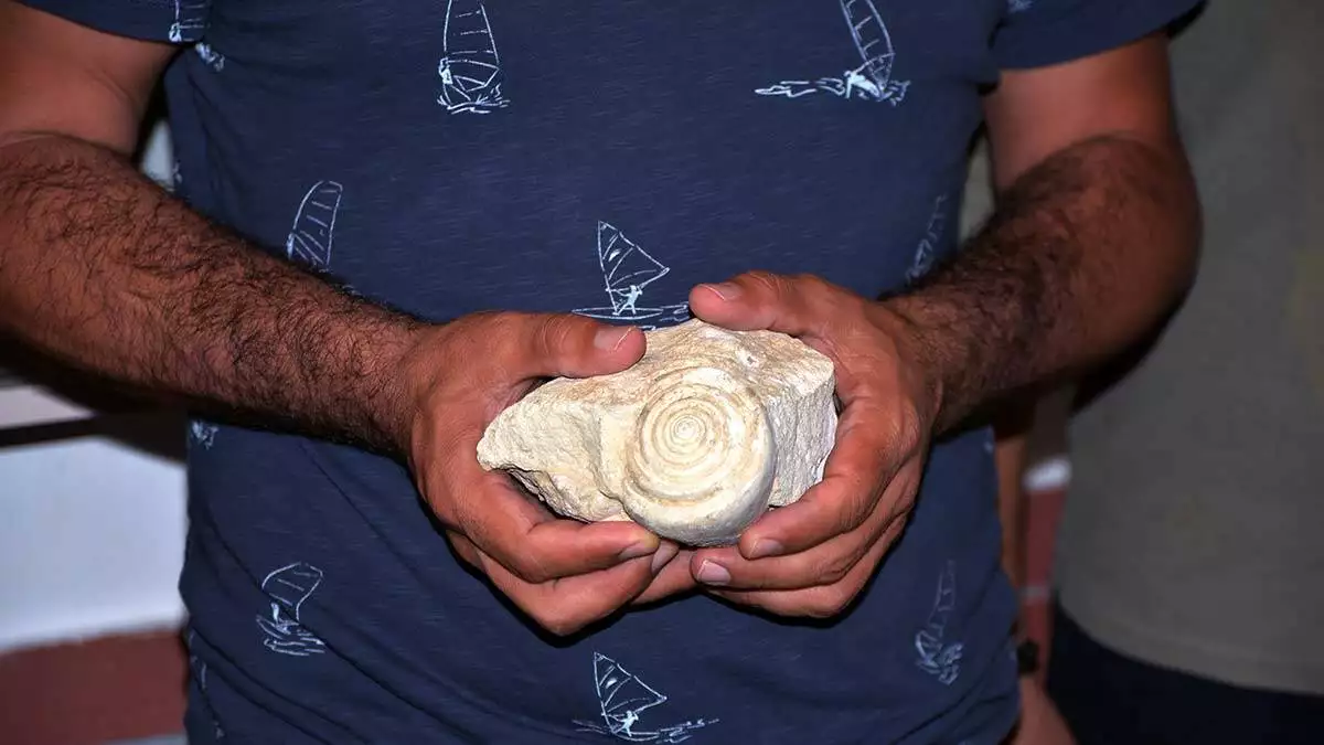 İnceleme yapan prof. Dr. Deniz ayas da salyangoz fosilinin ender bulunan tür ve 60 milyon yıl öncesine ait olduğunu söyledi.