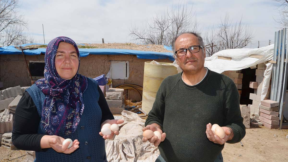 1 düve ile hayvancılığı başladı 11 yılda çiftlik kurdu