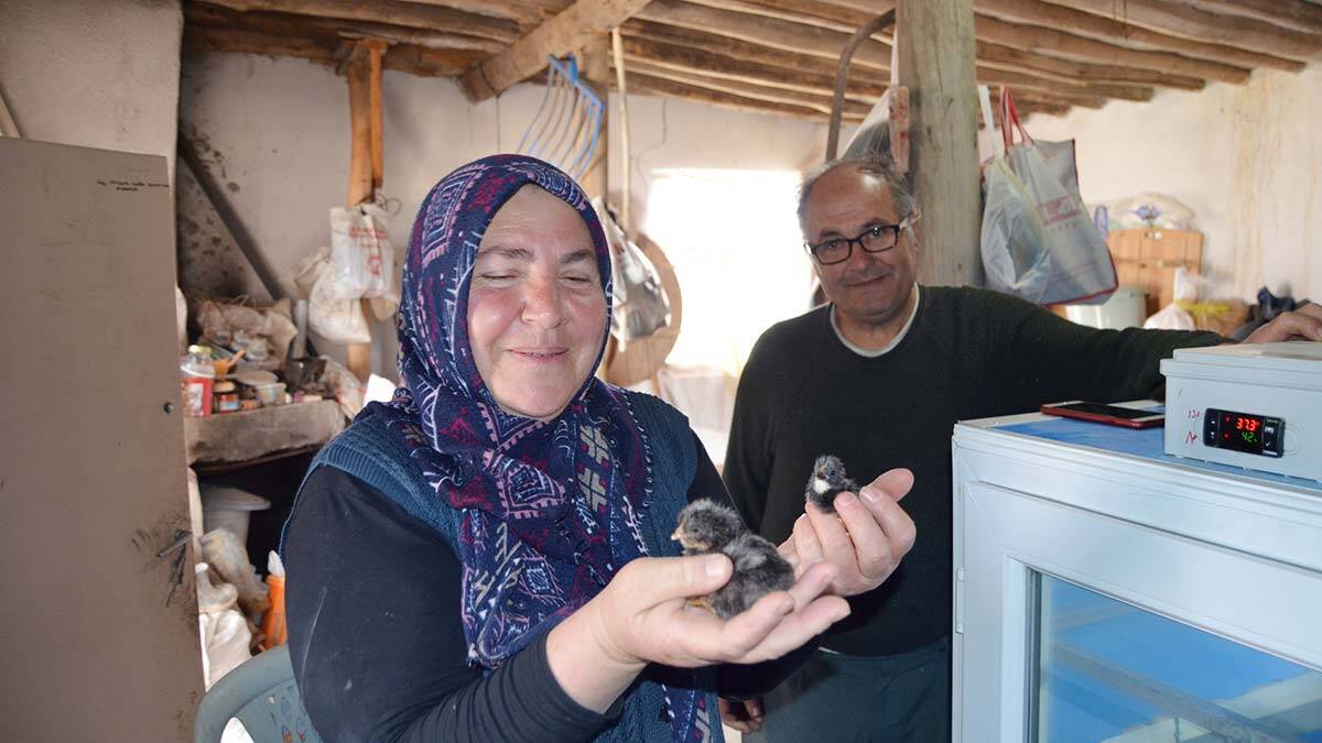 1 düve ile hayvancılığı başladı 11 yılda çiftlik kurdu