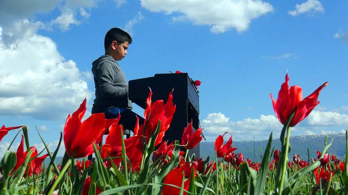 Muş Ovası'nda piyano resitali