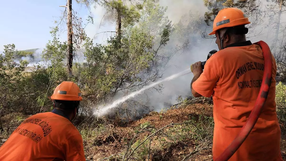 Orman yangınlarıyla mücadele komisyonu, 19 ilçeden 15'ini 1. Derece, 4'ünü 2. Derecede hassas bölge ilan etti ve orman kurtaracak 43 kural bilgisi verdi.