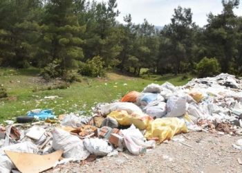 Ormanlık alan çöplüğe döndü