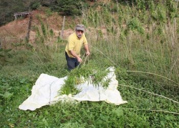 Rize'de kenevir ipliğinden kumaş üretimi