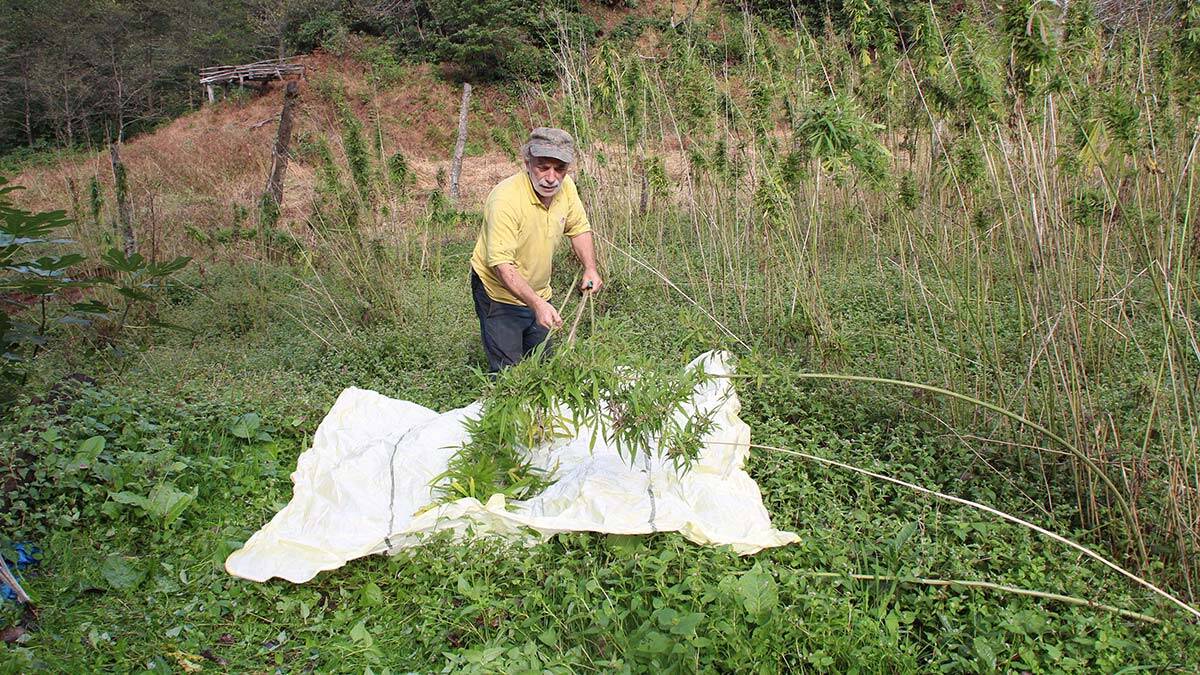 Rize'de kenevir ipliğinden kumaş üretimi