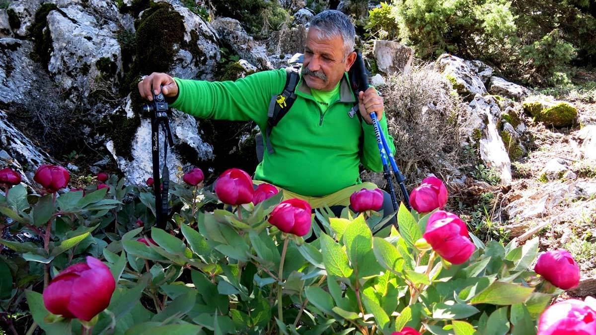 Şakayıkları koparmanın cezası kişilere 80 bin 465 TL, tüzel kişilik olursa bunun üç katı.