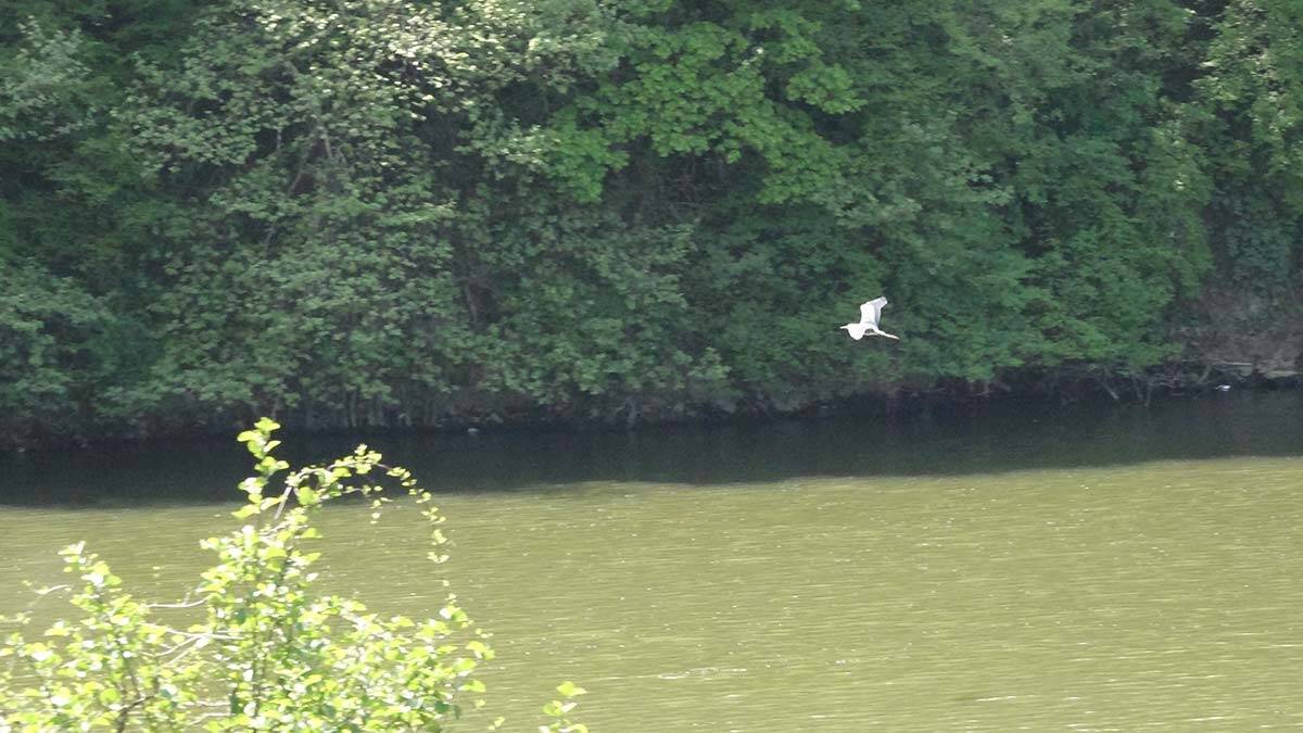 Sera Gölü'ndeki kirliliğe çökeltim havuzu çözümü