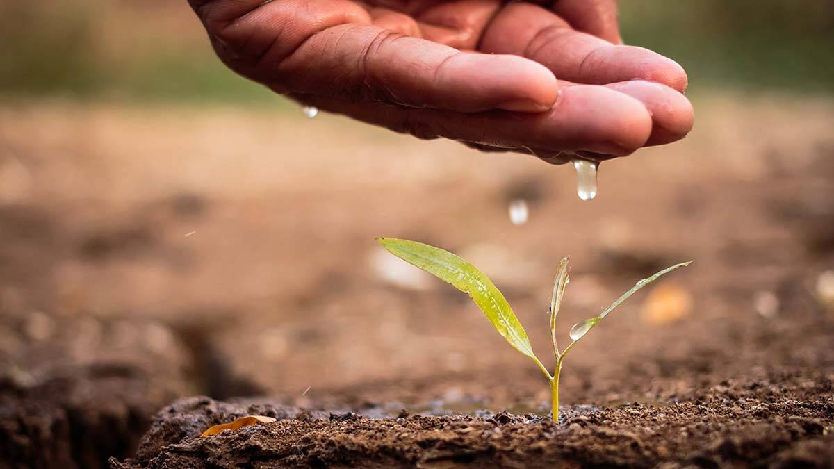22 ilde tarımsal kuraklık yaşanmakta