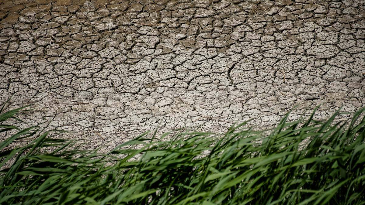 Konya Ovası'nda kuraklık