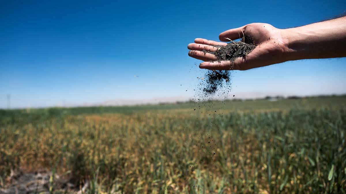 Konya Ovası'nda kuraklık