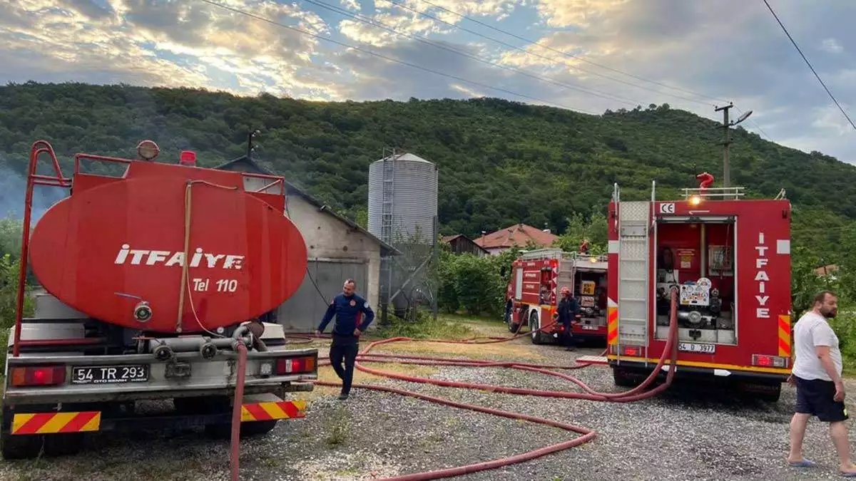 Tavuk çiftliğinde yangın; 10 bin 500 civciv öldü