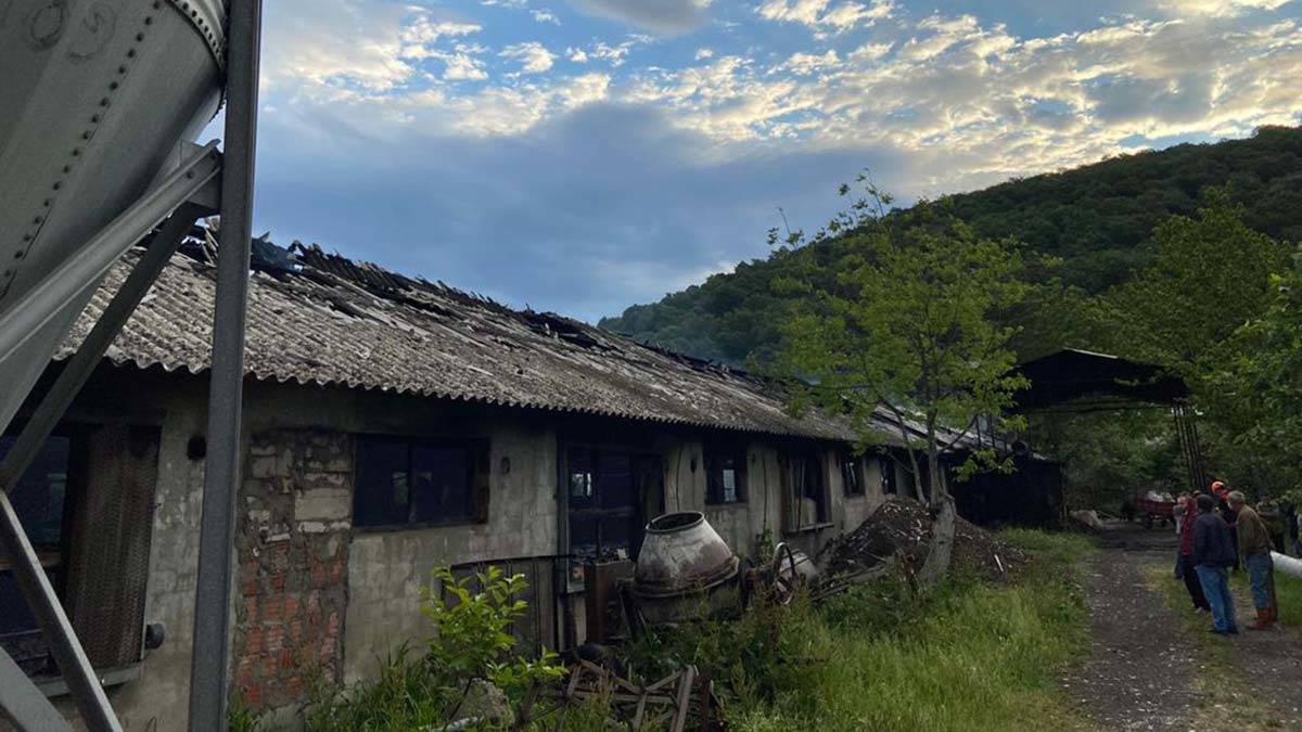 Tavuk çiftliğinde yangın; 10 bin 500 civciv öldü