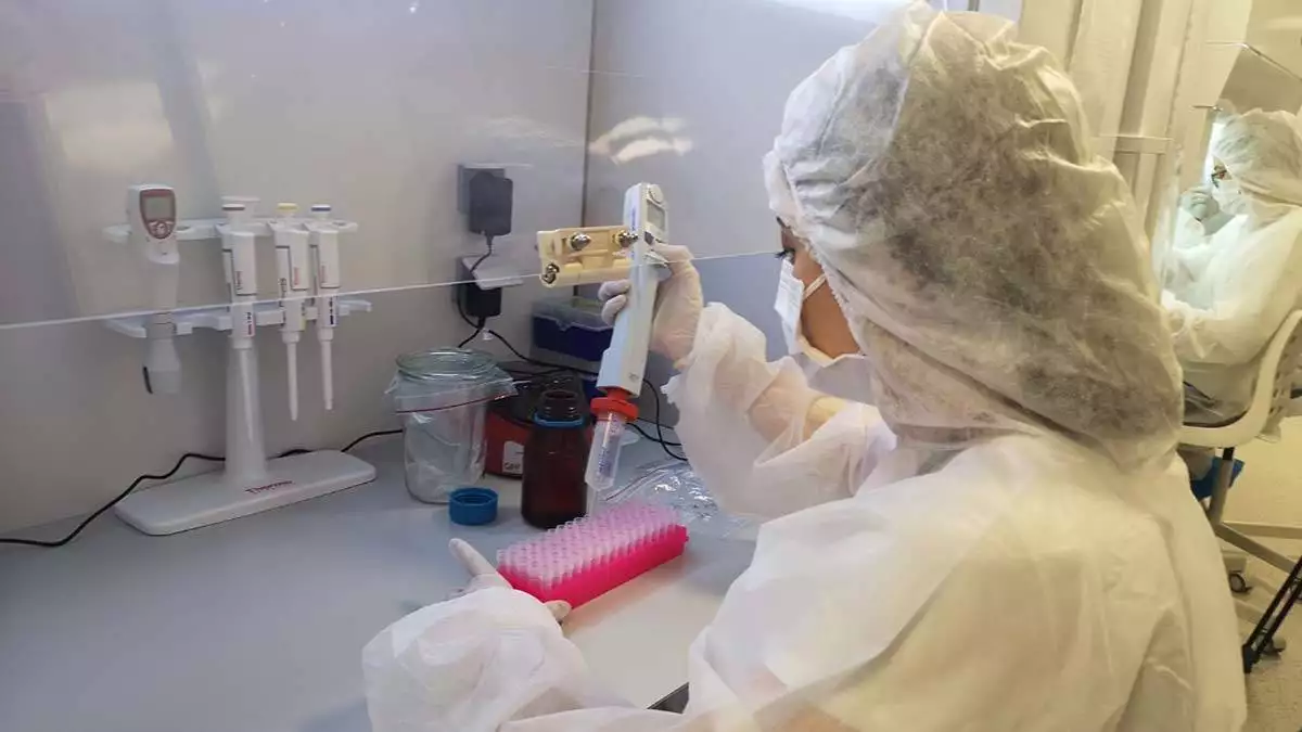 Yeni koronavirüs salgını çin'de ortaya çıkar çıkmaz ar-ge’ye başlayan firmanın avrupa ülkeleri başta olmak üzere dünyada 50 ülkeye test kiti ihracatı.