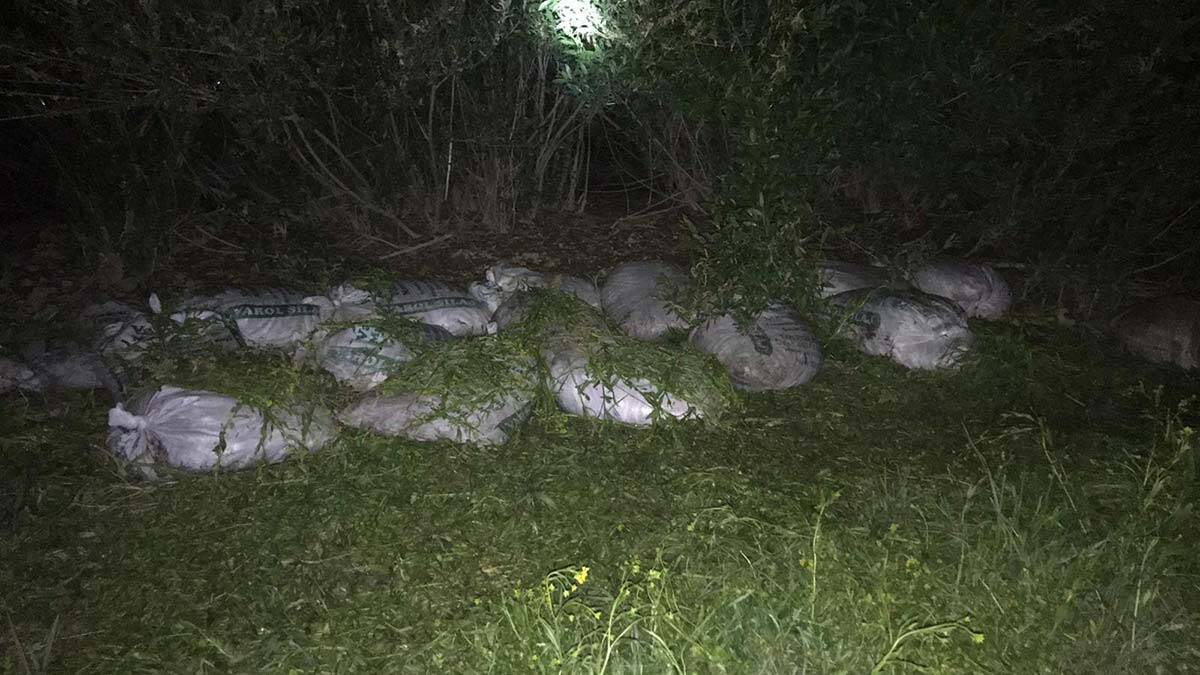 Kaçak avlanan 20 çuval inci kefali ele geçirildi