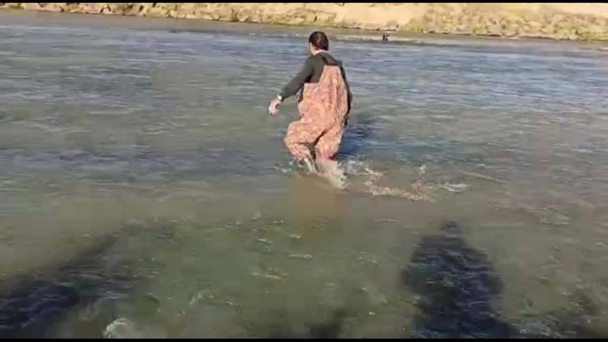 Kaçak avlanan 530 kilo inci kefali ele geçirildi